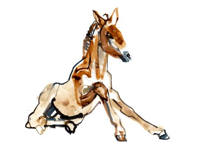 Ocher Foal (Przewalski), 2013 (sennelier-muste, akvarelli ja guassi) tekijältä Mark Adlington