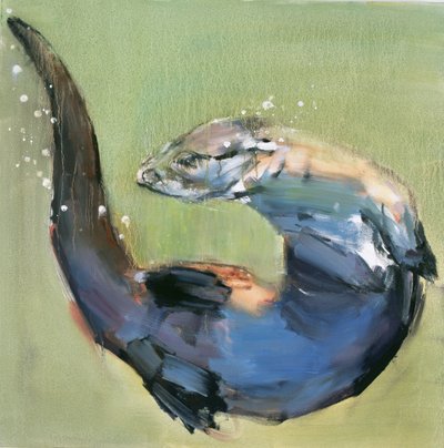 Saukko, 2003 tekijältä Mark Adlington