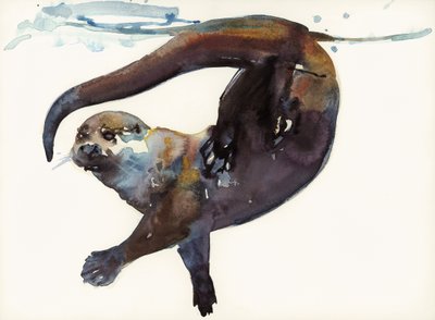Otter Study II - "Talisker" tekijältä Mark Adlington
