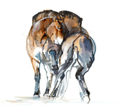 Power Dance (Przewalski), 2013 (sennelier-muste, akvarelli ja guassi) tekijältä Mark Adlington