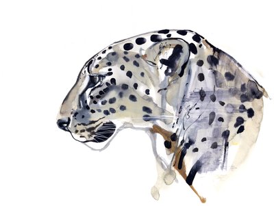 Profiili (Arabian Leopard), 2008 tekijältä Mark Adlington