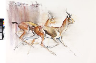Juoksevat arabialaiset gasellit, 2010 (öljy paperille) tekijältä Mark Adlington