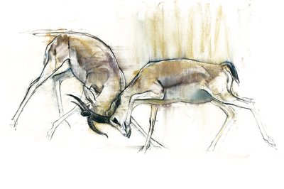 Sand Gazelles, 2009 (conte ja hiili paperille) tekijältä Mark Adlington