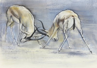 Sand Gazelles, 2009 (conte ja hiili paperille) tekijältä Mark Adlington