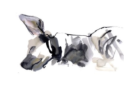 Sleeping Hyaena, 2010, (akvarelli paperille) tekijältä Mark Adlington
