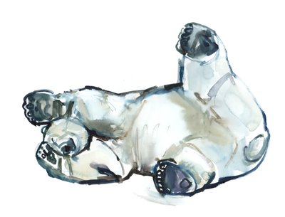 Snow Rub (jääkarhu), 2013 (akvarelli ja guassi paperille) tekijältä Mark Adlington