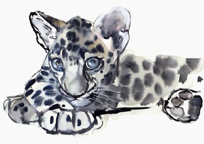 Spotty (arabileopardipentu), 2008 tekijältä Mark Adlington