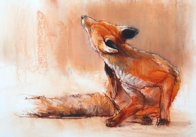 Kevät Vixen, 2022 tekijältä Mark Adlington