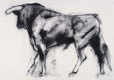 Toro Azul, tutkimus (hiili paperilla) tekijältä Mark Adlington