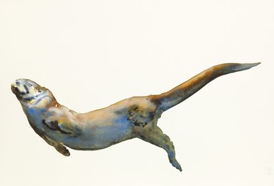 Velvet, 2014, (akvarelli paperille) tekijältä Mark Adlington