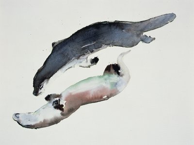 yin yang tekijältä Mark Adlington