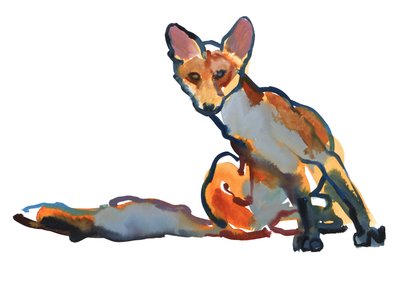 Young Vixen Grooming, 2021 tekijältä Mark Adlington
