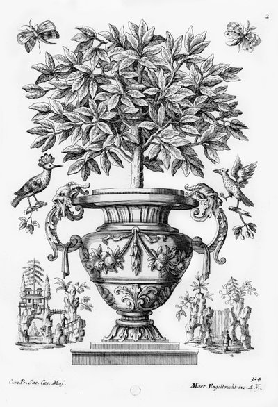 Sitruspuita, noin 1735 tekijältä Martin Engelbrecht