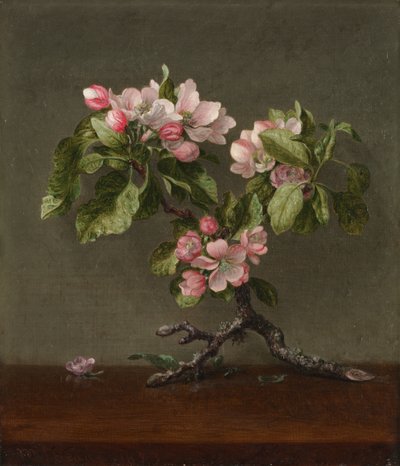  tekijältä Martin Johnson Heade
