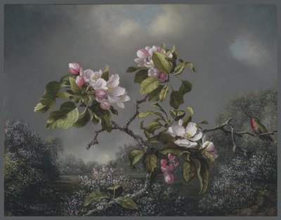 Apple Blossoms and Hummingbird, 1871 tekijältä Martin Johnson Heade
