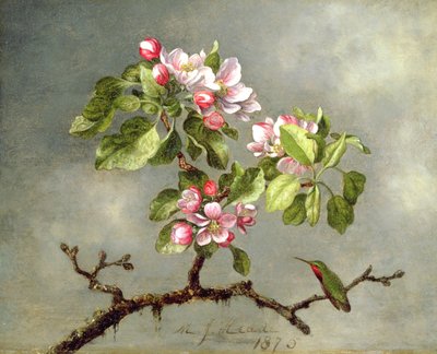 Omenankukat ja kolibri, 1875 tekijältä Martin Johnson Heade