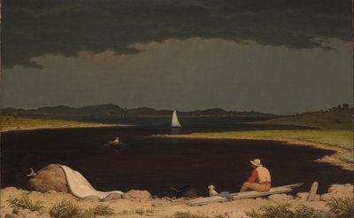 Ukkosmyrsky lähestyy tekijältä Martin Johnson Heade