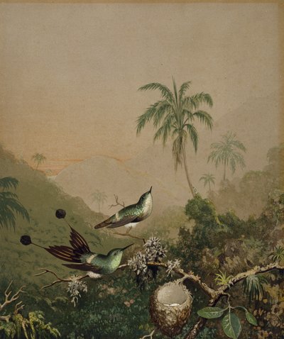 Brazilian Hummingbirds II, c. 1864-1865 (kromolitografi käsin levitetyllä öljymaalilla paperille) tekijältä Martin Johnson Heade