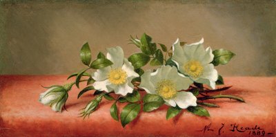 Cherokee Roses, 1889 tekijältä Martin Johnson Heade