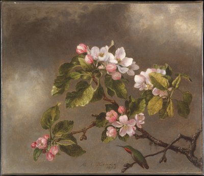  tekijältä Martin Johnson Heade