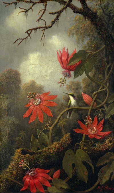 Hummingbird ja Passionflowers, n. 1875-85. tekijältä Martin Johnson Heade