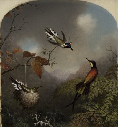 Hummingbirds: Two Sungems ja a Crimson Topaz, 1866 tekijältä Martin Johnson Heade