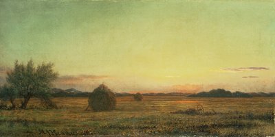 Jersey Meadows tekijältä Martin Johnson Heade