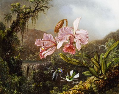 Orkideat ja kolibrit brasilialaisessa viidakossa, n. 1871-72 tekijältä Martin Johnson Heade