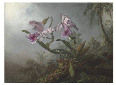 Vaaleanpunaiset orkideat ja kolibri oksassa, 1875 tekijältä Martin Johnson Heade