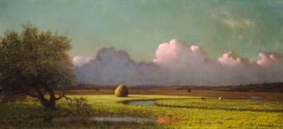 Auringonvalo ja varjo: Newbury Marshes, n. 18711875. tekijältä Martin Johnson Heade