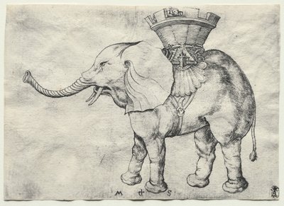 Elefantti Howdan kanssa, c. 1485. tekijältä Martin Schongauer