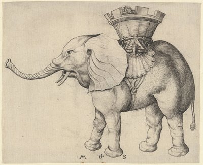 Norsu tekijältä Martin Schongauer