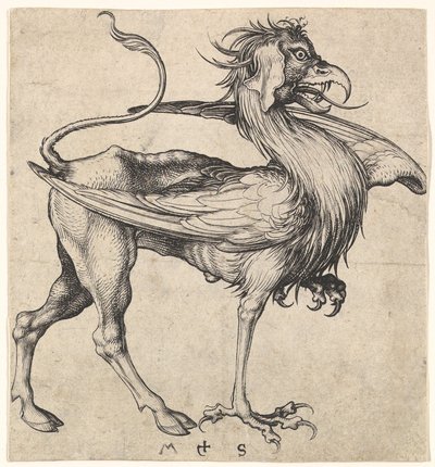 Griffin, n. 1435-1491. tekijältä Martin Schongauer