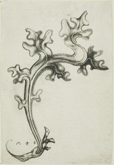 Leaf koriste tekijältä Martin Schongauer