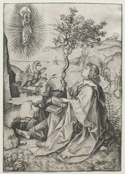 Pyhä Johannes evankelista Patmossaarella. tekijältä Martin Schongauer