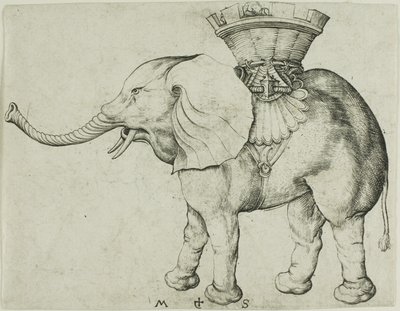 Elefantti tekijältä Martin Schongauer