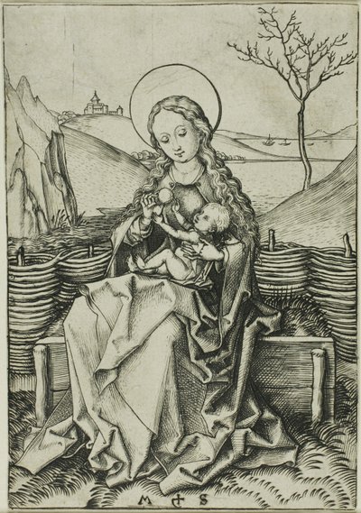 Madonna ja lapsi ruohoisella penkillä tekijältä Martin Schongauer