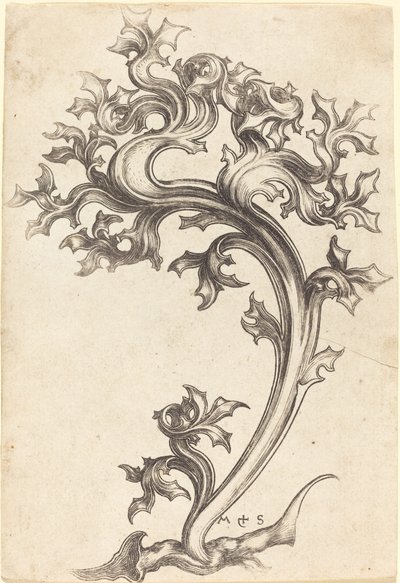 Ohdake-ornamentti tekijältä Martin Schongauer