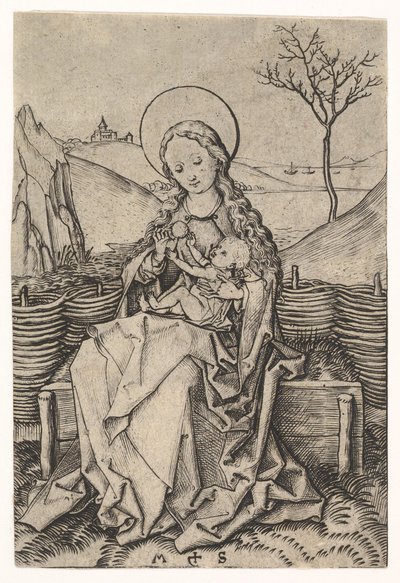 Neitsyt ja lapsi ruohopenkillä, n. 1435-1491. tekijältä Martin Schongauer
