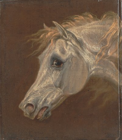 Harmaan arabialaisen hevosen pää tekijältä Martin Theodore Ward