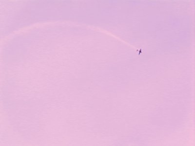 Purjelentokoneen lentäjä tekijältä Martina Konitzky