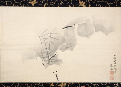 White Herons, 1769. tekijältä Maruyama Okyo