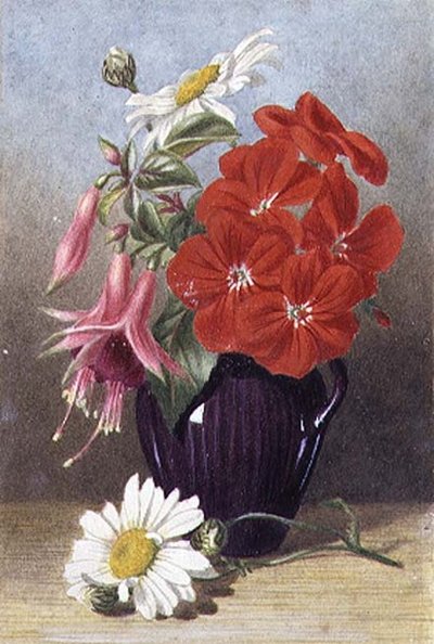 Pelargonit ja fuksiat lasitetussa purppurassa tekijältä Mary Elizabeth Duffield