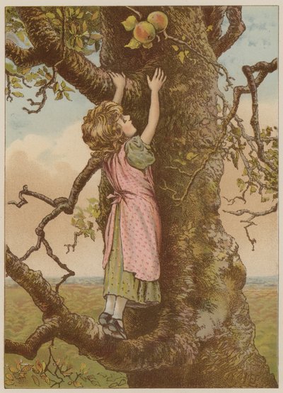 Tyttö kiipeilee viimeisten omenoiden takia (chromolitho) tekijältä Mary Ellen Edwards