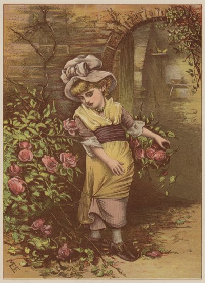 Tyttö poimii ruusuja (chromolitho) tekijältä Mary Ellen Edwards