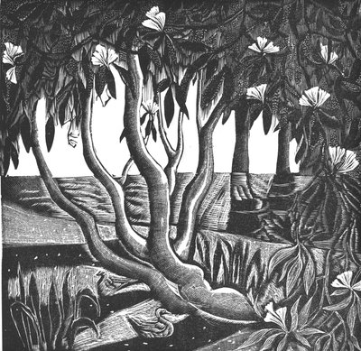 Rhododendrons, Holland Park, 2006 (vinyylikaiverrus) tekijältä Mary Kuper
