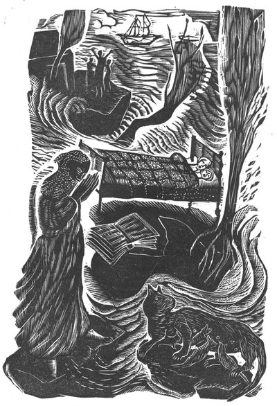 The Flood, 2006 (vinyylikaiverrus) tekijältä Mary Kuper