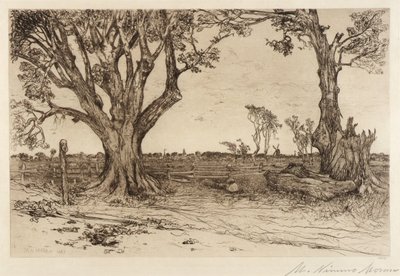 Old Lindens--Near Easthampton tekijältä Mary Nimmo Moran