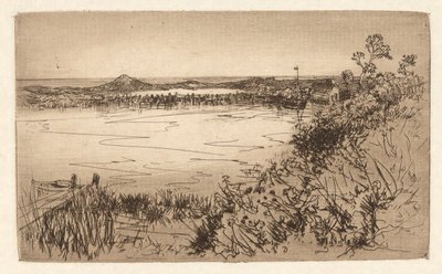 Hiljainen satama / Tidal Pond tekijältä Mary Nimmo Moran