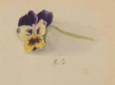 Nimetön (Pansy) tekijältä Mary Vaux Walcott